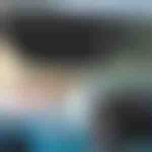 Automobilio priekinis stiklas skėtis nuo saulės | SHADESHELLA