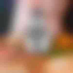 Daugiafunkcinis virtuvės trintuvas | MULTIMINCER