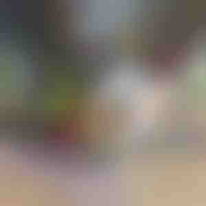 12 in 1 daržovių smulkintuvas ir pjaustyklė | CHOPMASTER