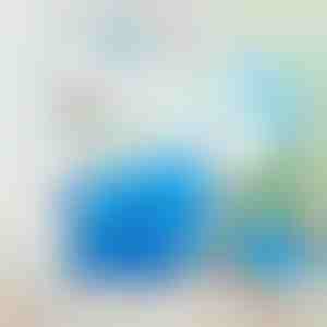 360 laipsnių kampu besisukantys elektriniai dulkių šepetėliai | DUSTER