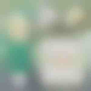 Momentinis sienų taisymo sprendimas | WALLFIX