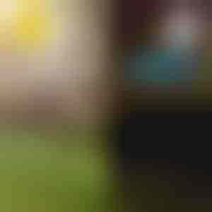 Saulės tropinio sodo šviestuvai | LUMIPALM